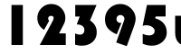 12395wq bags