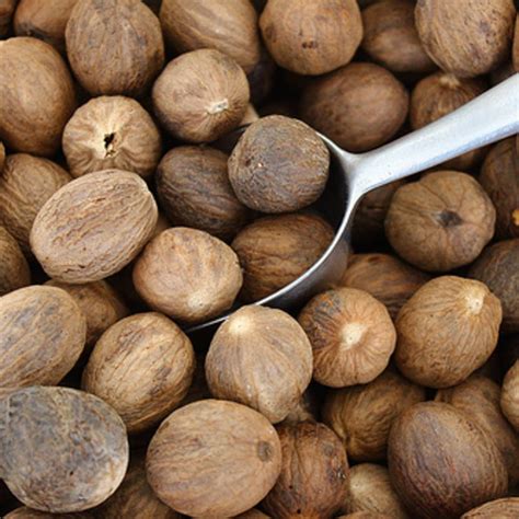 nutmeg37486